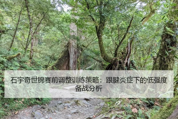 shi-yu-qi-shi-jin-sai-qian-tiao-zheng-xun-lian-ce-lve-gen-jian-yan-zheng-xia-de-di-qiang-du-bei-zhan-fen-xi-2-418.jpg